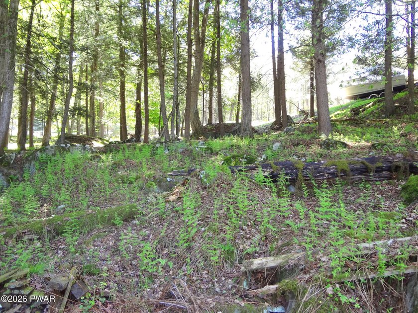 SECOND TIER LAKE WALLENPAUPACK RIVER PROPERTY! 1.3 ACRES! Lake - photo 11