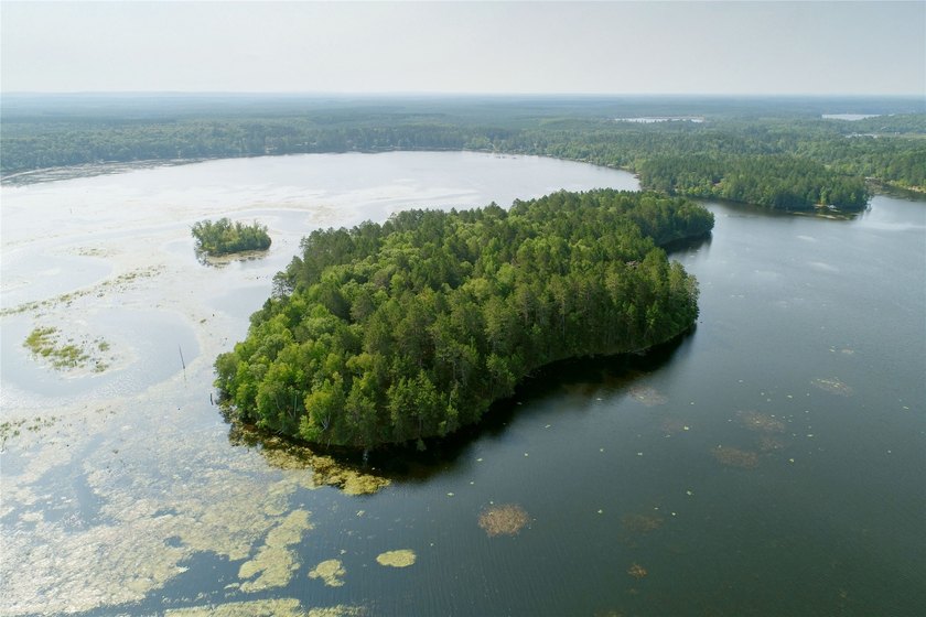 Unique, pristine Northwoods opportunity on the highly - photo 16