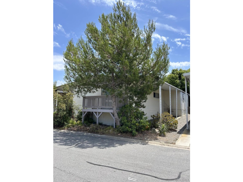 Opportunity Knocks with this 1971 Fashion Manor Double wide - photo 2