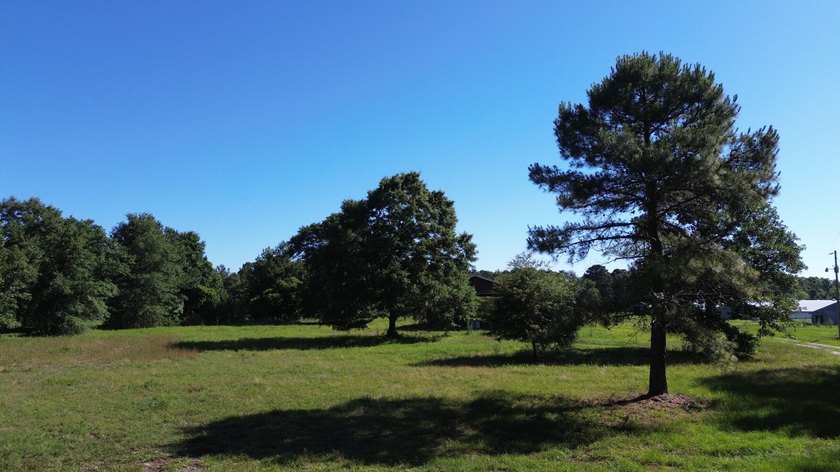 40 +/- acres located on Holladay Road between Manning and - photo 13