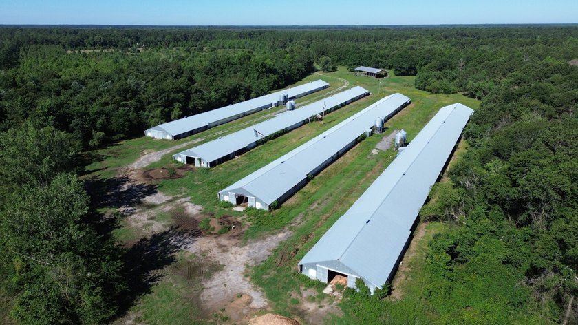 40 +/- acres located on Holladay Road between Manning and - photo 15