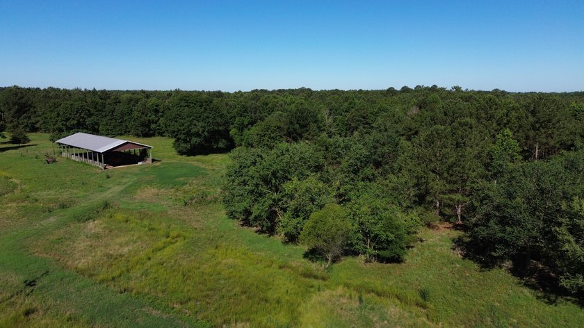 40 +/- acres located on Holladay Road between Manning and - photo 17