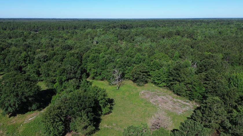 40 +/- acres located on Holladay Road between Manning and - photo 18