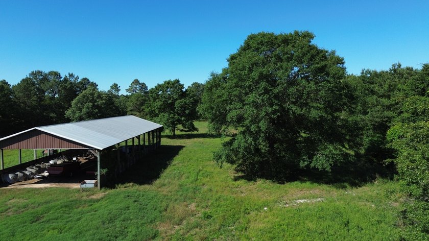 40 +/- acres located on Holladay Road between Manning and - photo 19