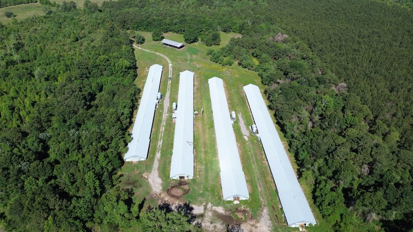 40 +/- acres located on Holladay Road between Manning and - photo 20