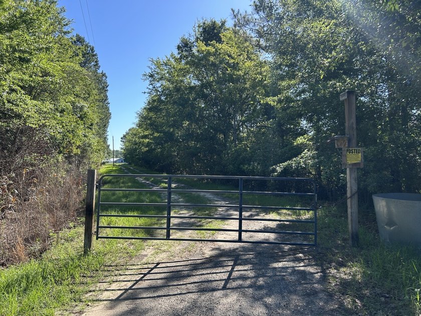 40 +/- acres located on Holladay Road between Manning and - photo 22