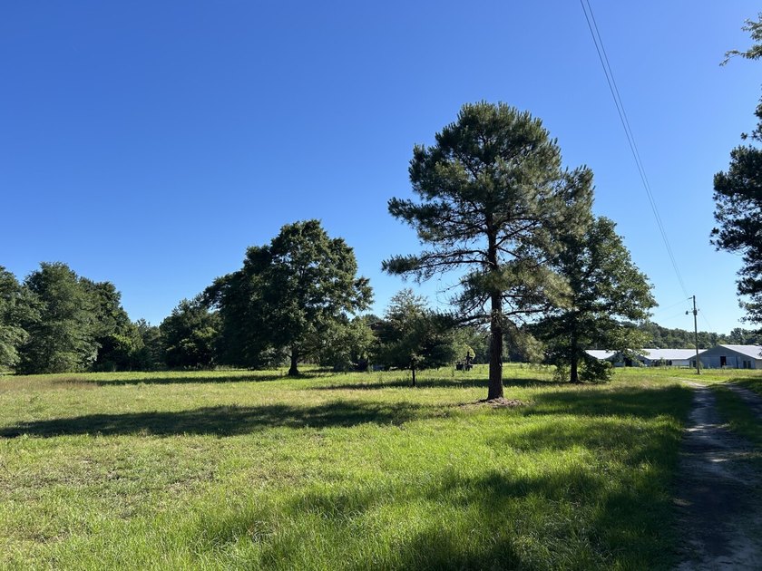 40 +/- acres located on Holladay Road between Manning and - photo 24