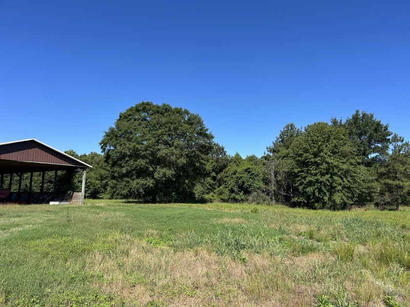 40 +/- acres located on Holladay Road between Manning and - photo 30