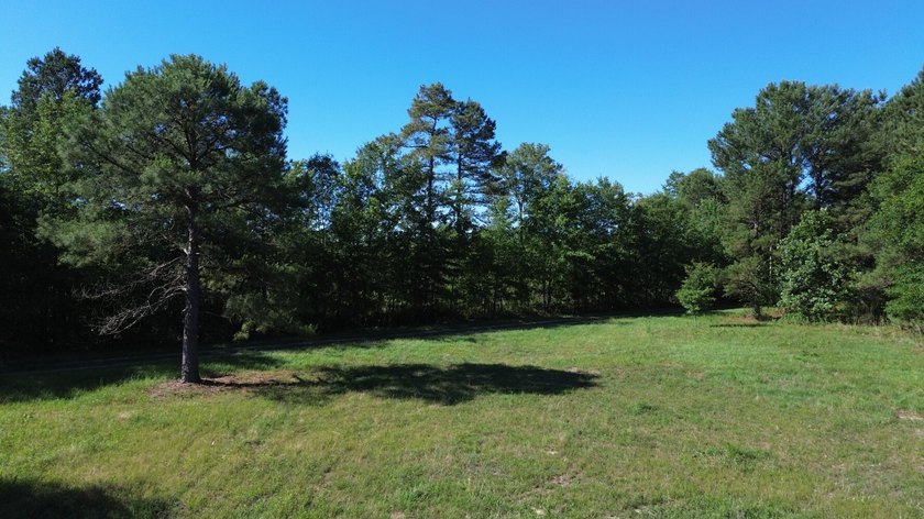 40 +/- acres located on Holladay Road between Manning and - photo 31