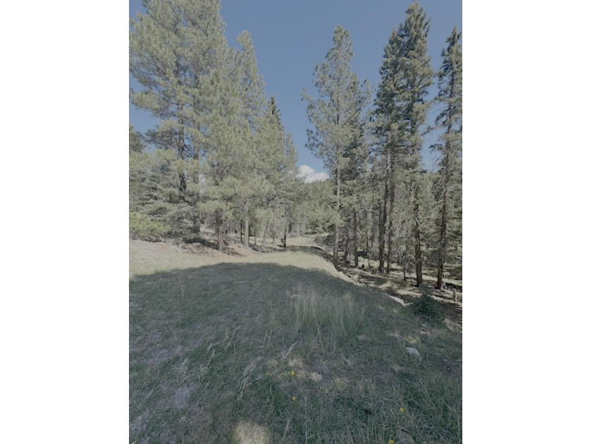 Spacious, wooded property near Monte Verde Lake with several - photo 2