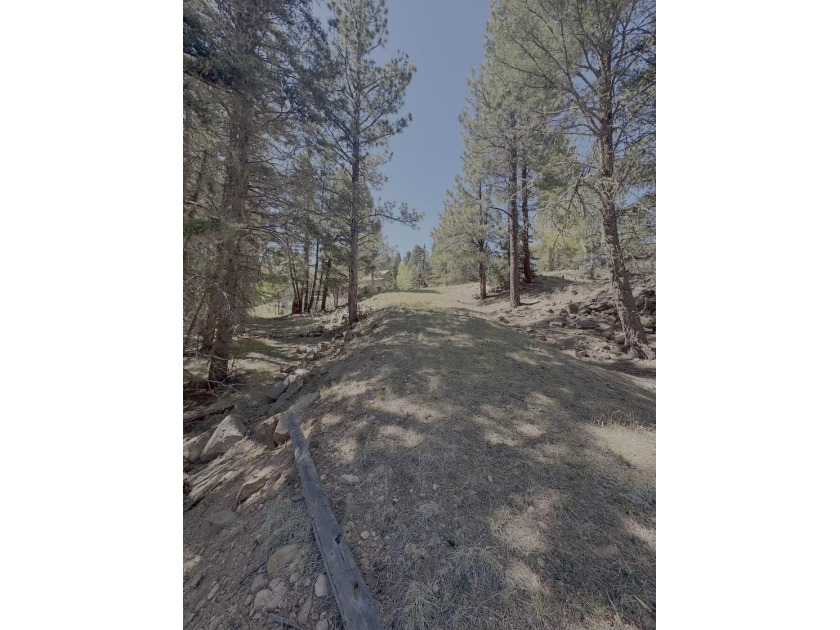 Spacious, wooded property near Monte Verde Lake with several - photo 4