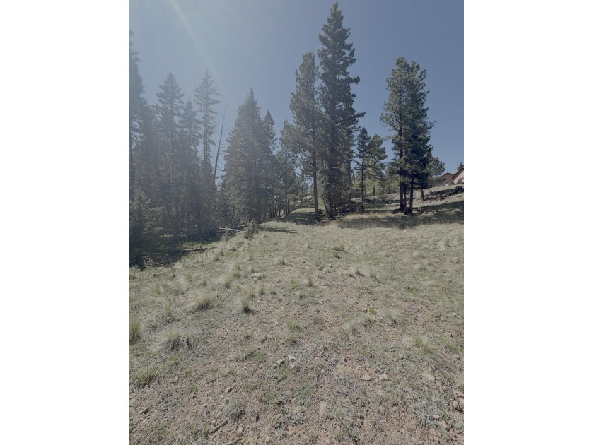 Spacious, wooded property near Monte Verde Lake with several - photo 5