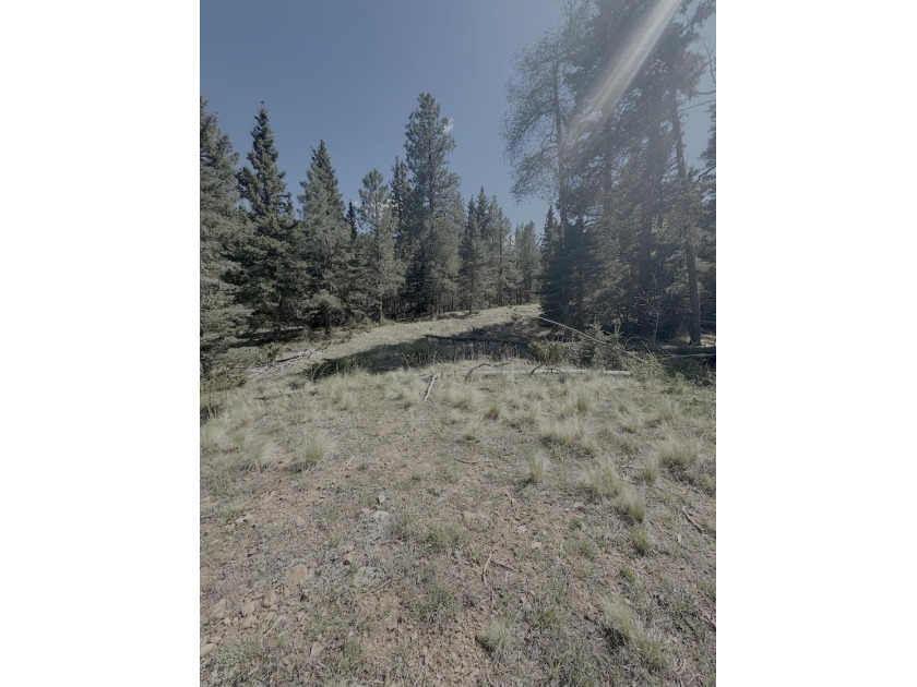 Spacious, wooded property near Monte Verde Lake with several - photo 7