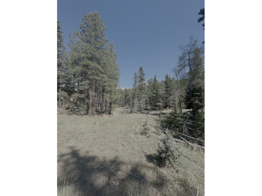 Spacious, wooded property near Monte Verde Lake with several - photo 9