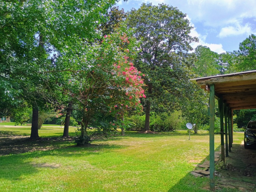 Private Lake Community Spacious Fish Camp Retreat - photo 6
