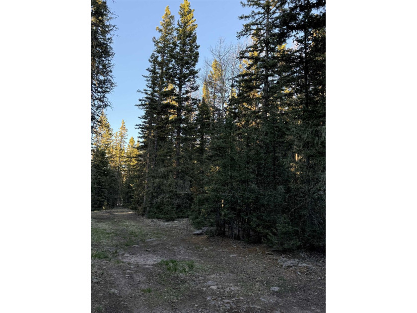 Perched near the top of Angel Fire Resort and just feet from the - photo 2