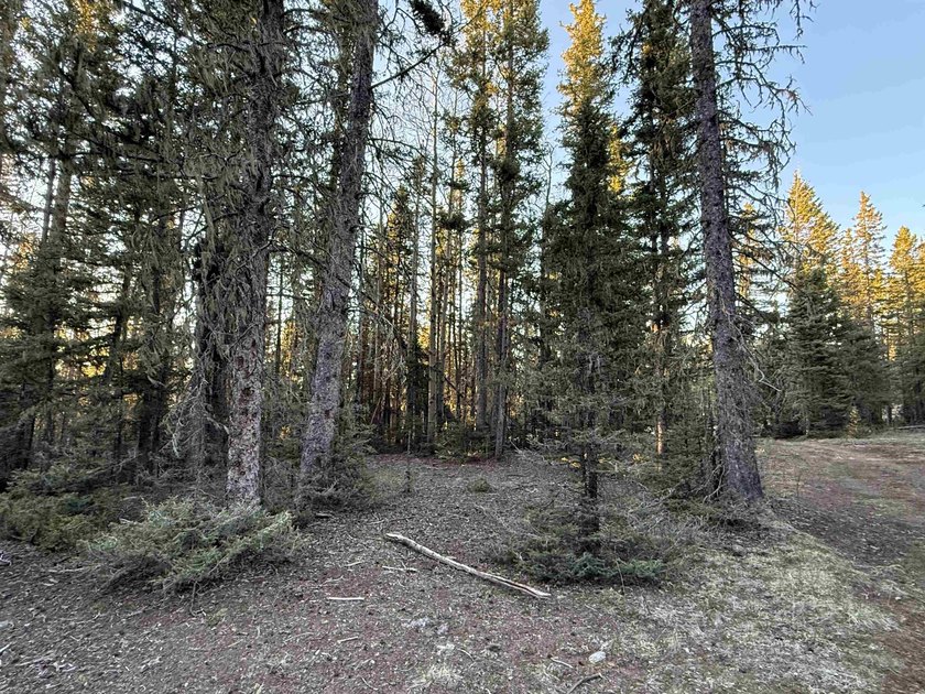 Perched near the top of Angel Fire Resort and just feet from the - photo 5