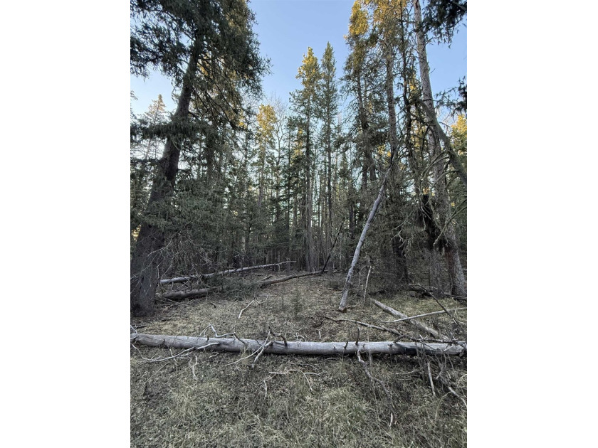 Perched near the top of Angel Fire Resort and just feet from the - photo 6