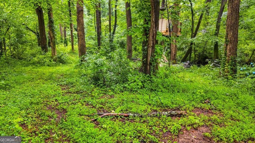 Rare 9.5-Acre Haven with Spring-Fed Pond, Multiple Structures &amp; - photo 17