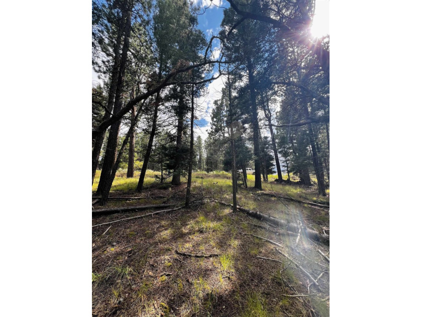 Tucked into the forested beauty of Angel Fire, and less than a - photo 2
