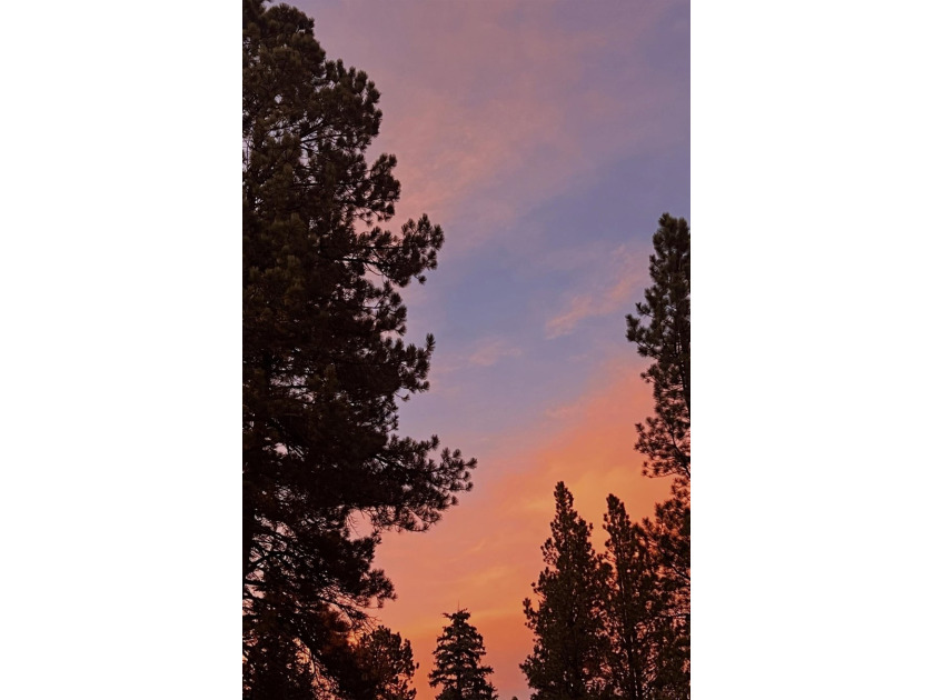 Tucked into the forested beauty of Angel Fire, and less than a - photo 4