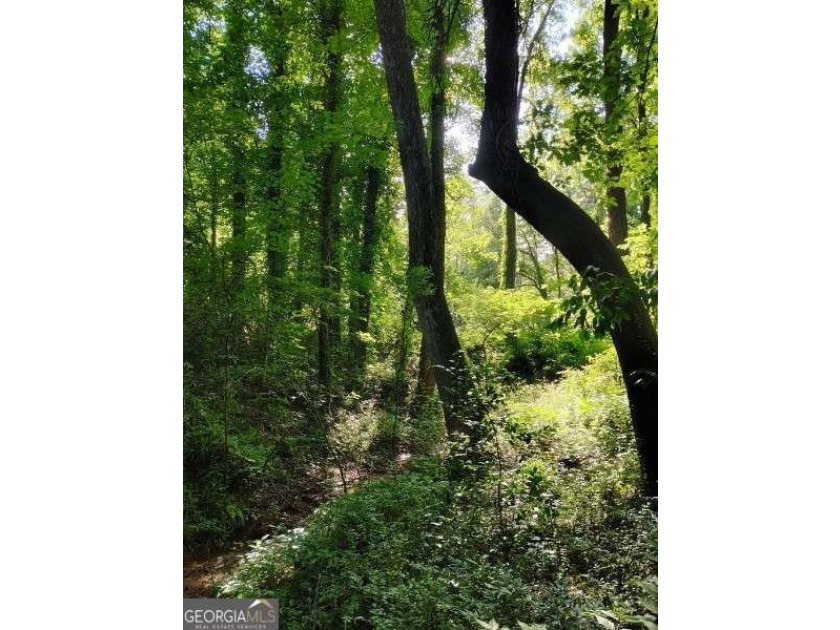 Rare 9.5-Acre Haven with Spring-Fed Pond, Multiple Structures &amp; - photo 26