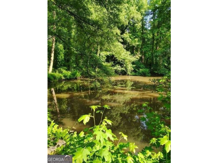Rare 9.5-Acre Haven with Spring-Fed Pond, Multiple Structures &amp; - photo 28