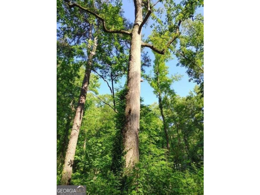 Rare 9.5-Acre Haven with Spring-Fed Pond, Multiple Structures &amp; - photo 30