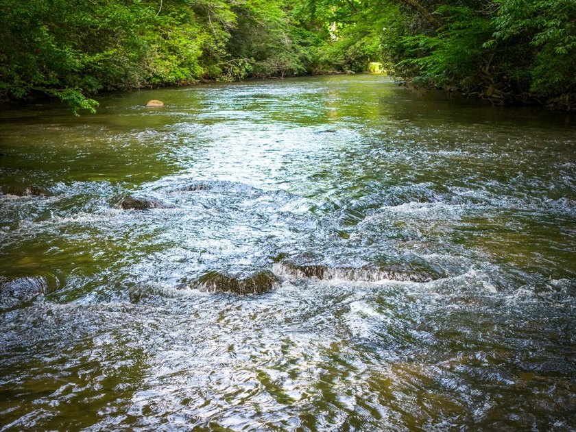 The Ultimate Creekfront Cabin Experience ~ Wake up to the sound - photo 38