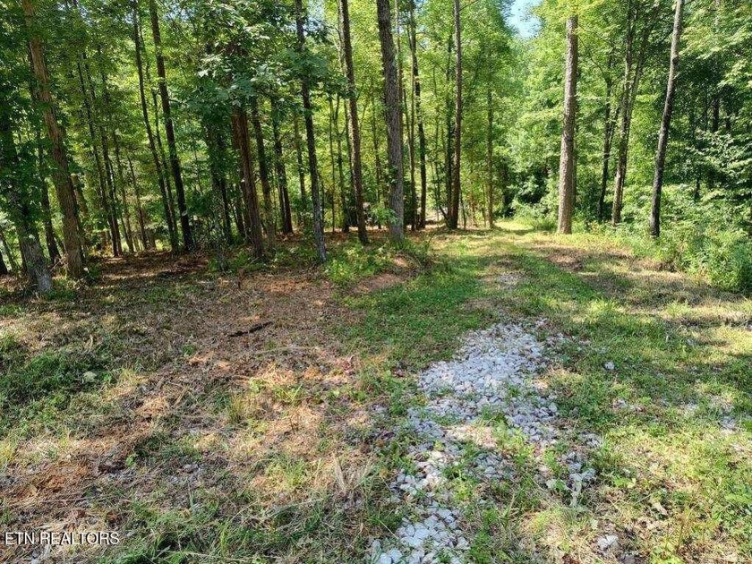 Over 350 ft of Road frontage this 14+/- acre parcel has been - photo 3