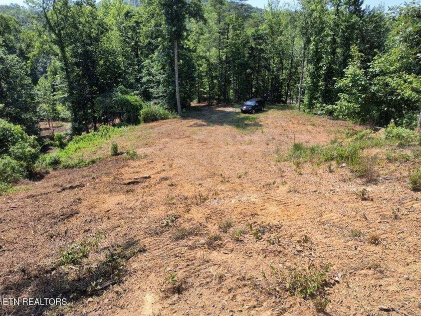 Over 350 ft of Road frontage this 14+/- acre parcel has been - photo 4