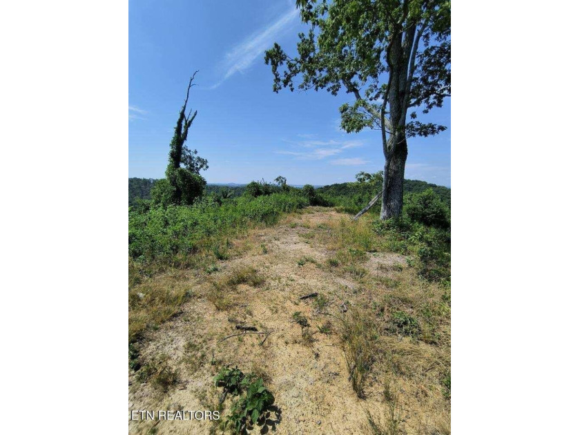 Over 350 ft of Road frontage this 14+/- acre parcel has been - photo 8