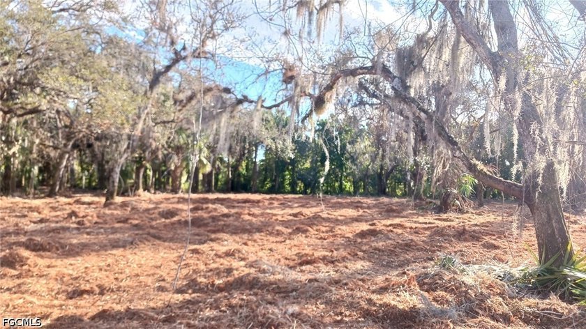 Discover the perfect blend of privacy, natural beauty, and - photo 4