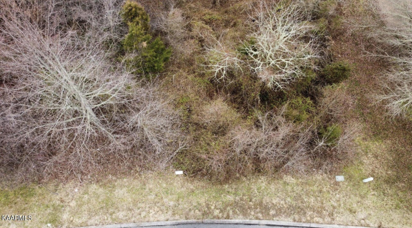 Great Lot for Golf &amp; Lake! - photo 8