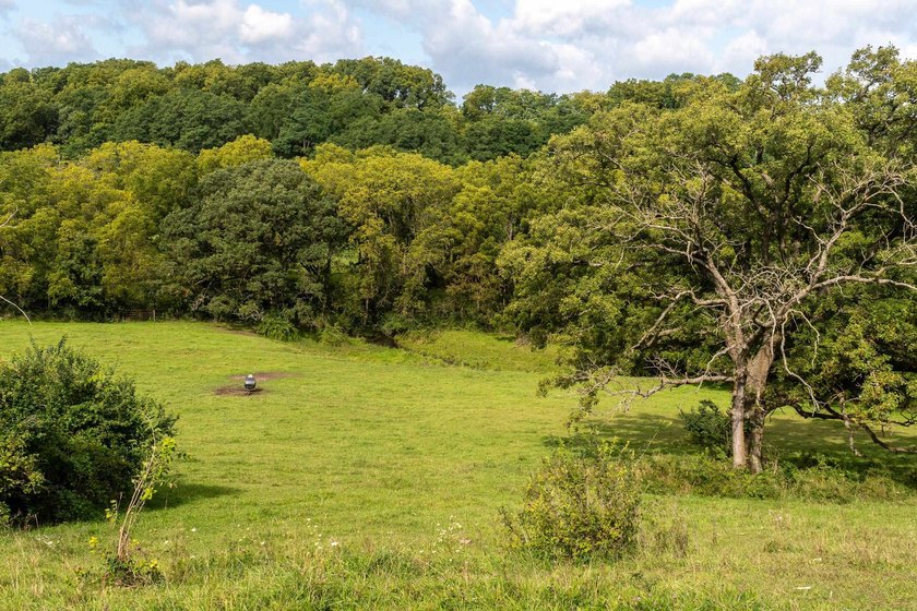 Nestled in Verona and on the outskirts of Mt. Horeb you have - photo 3