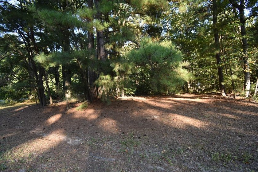 This is a corner lot in one of the most beautiful communities in - photo 5