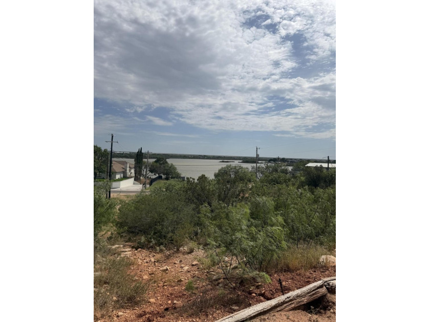 Welcome to Lake Nasworthy. This lake front property has a 3/2 - photo 27