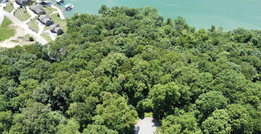 Lake Access Lot in Hidden Springs on Norris Lake! - photo 3