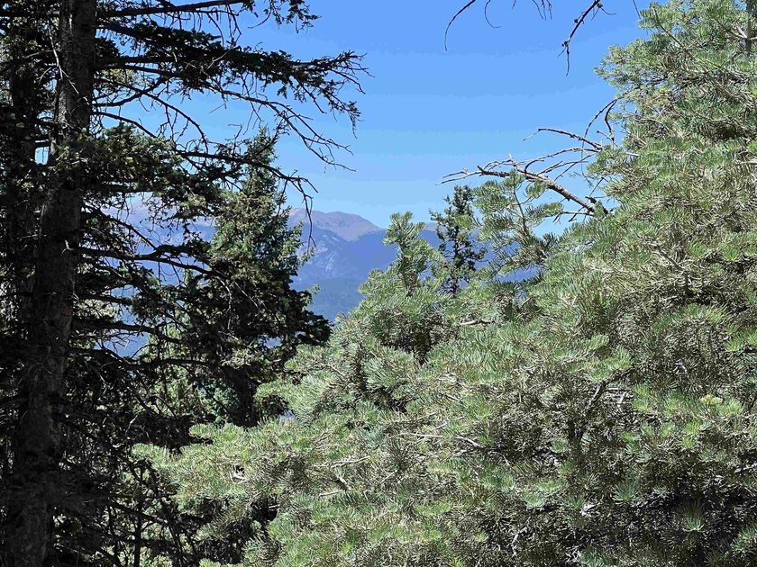If you're looking for a quiet location that also has nearby - photo 7