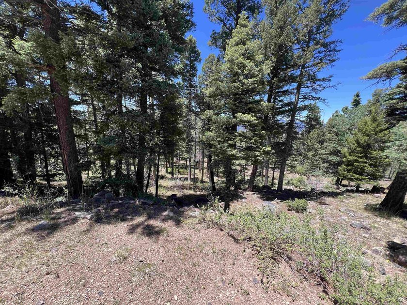 If you're looking for a quiet location that also has nearby - photo 10