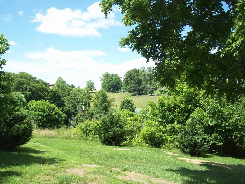 1.28-Ac. Lot, (Log Siding) House, 3-Bedrooms, 2 1/2 Bath, Living - photo 19