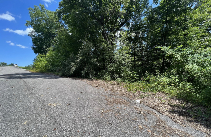 Lake Access Lot in Hidden Springs on Norris Lake! - photo 6