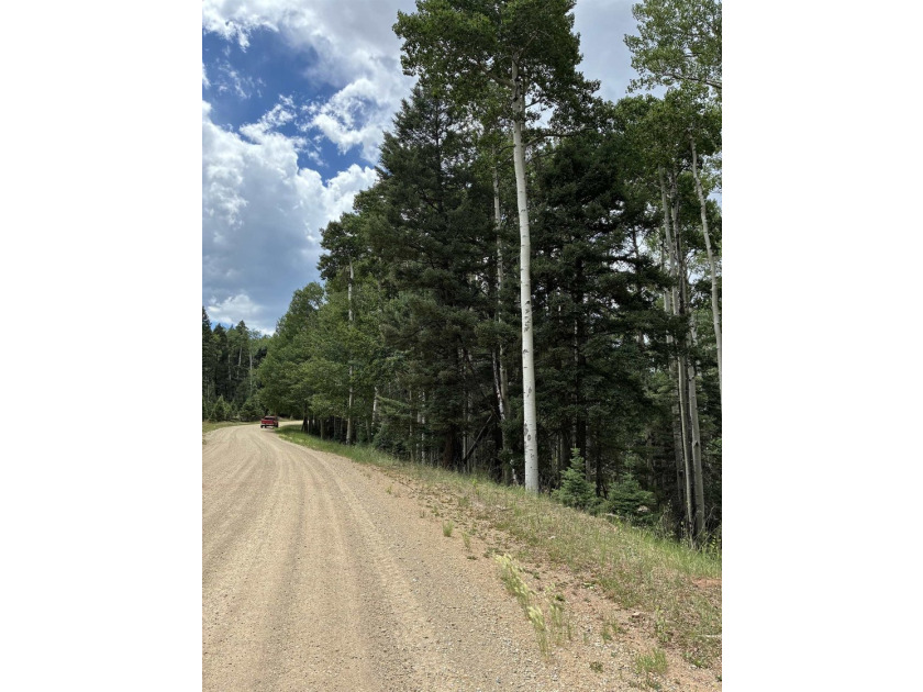 Nice heavily wooded three quarter acre lot. Sloping entry to lot - photo 3