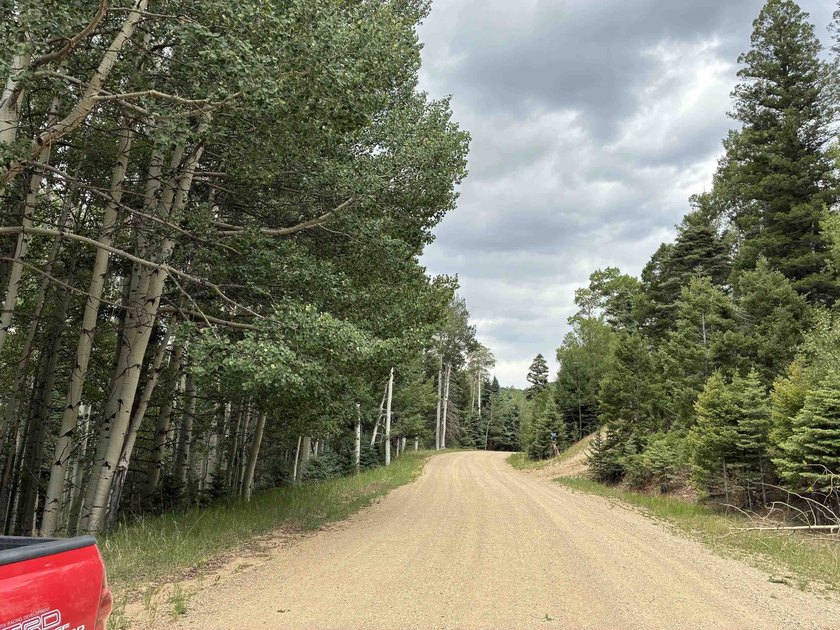 Nice heavily wooded three quarter acre lot. Sloping entry to lot - photo 5