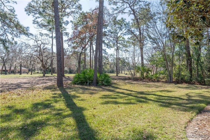 Price improvement **Welcome to Your Dream Condo!** Price - photo 28