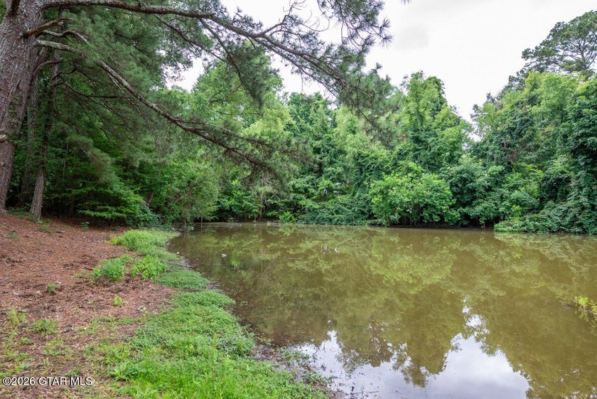 Set on 4.04 acres with pond frontage, this custom-built - photo 50