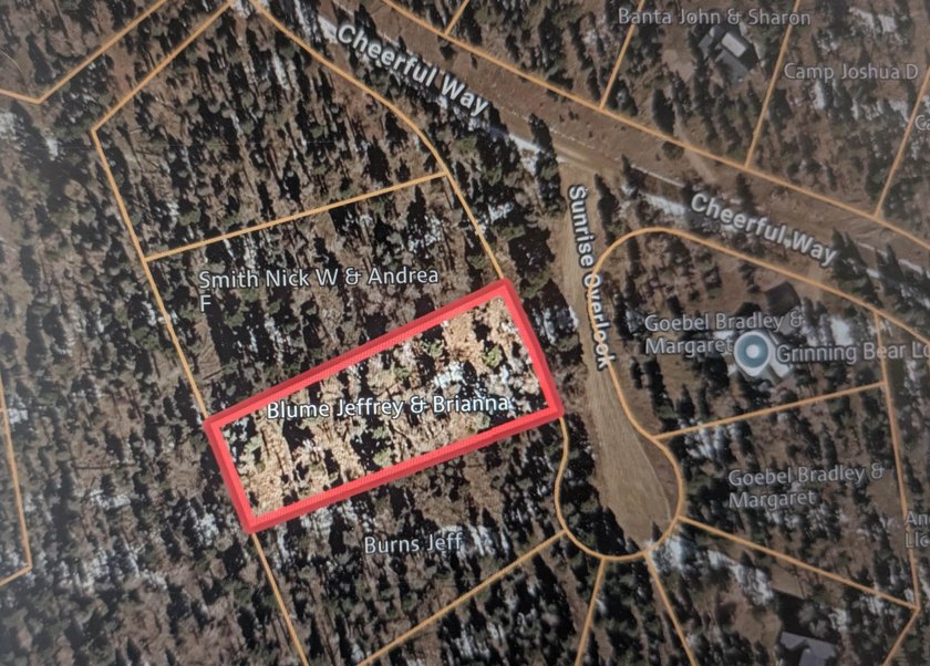 Beautiful lot in a quiet neighborhood. Larger lot size allows - photo 2
