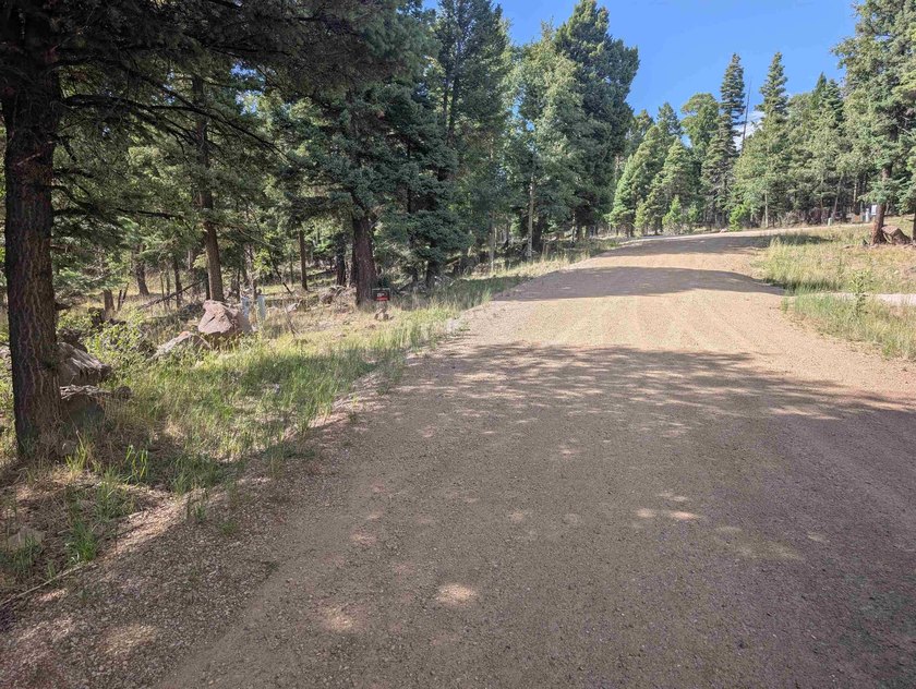 Beautiful lot in a quiet neighborhood. Larger lot size allows - photo 3