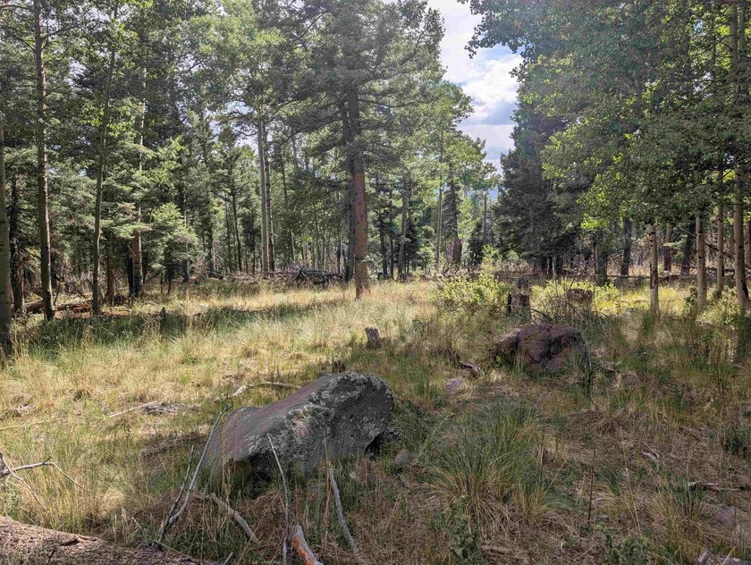 Beautiful lot in a quiet neighborhood. Larger lot size allows - photo 4