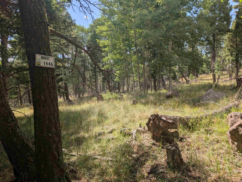 Beautiful lot in a quiet neighborhood. Larger lot size allows - photo 5